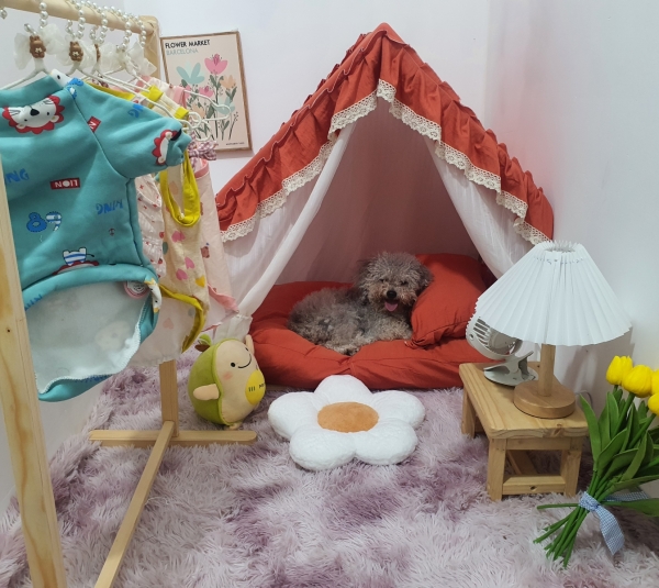 Lều ngủ cho thú cưng