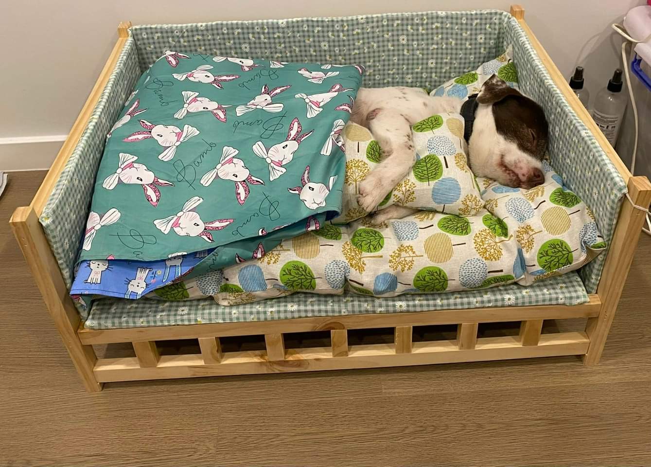 giường ngủ cho cún